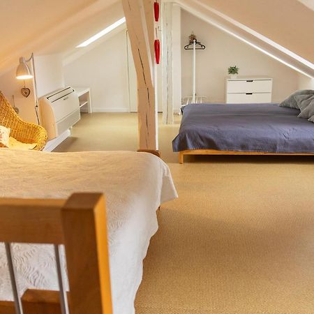 City Center Duplex Loft Colmar Bagian luar foto