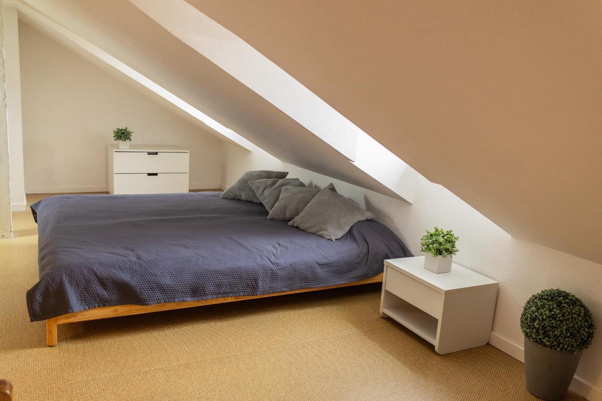 City Center Duplex Loft Colmar Bagian luar foto